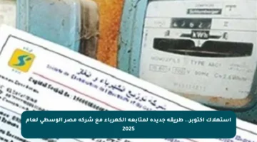 استهلاك أكتوبر.. طريقة جديدة لمتابعة الكهرباء مع شركة مصر الوسطى لعام 2025